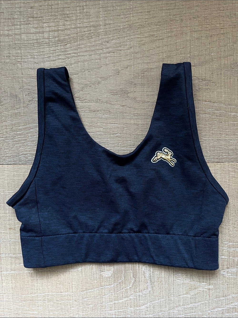 Tracksmith Run Sports Bra in Navy Blue. Size XS. Brand new; never worn.